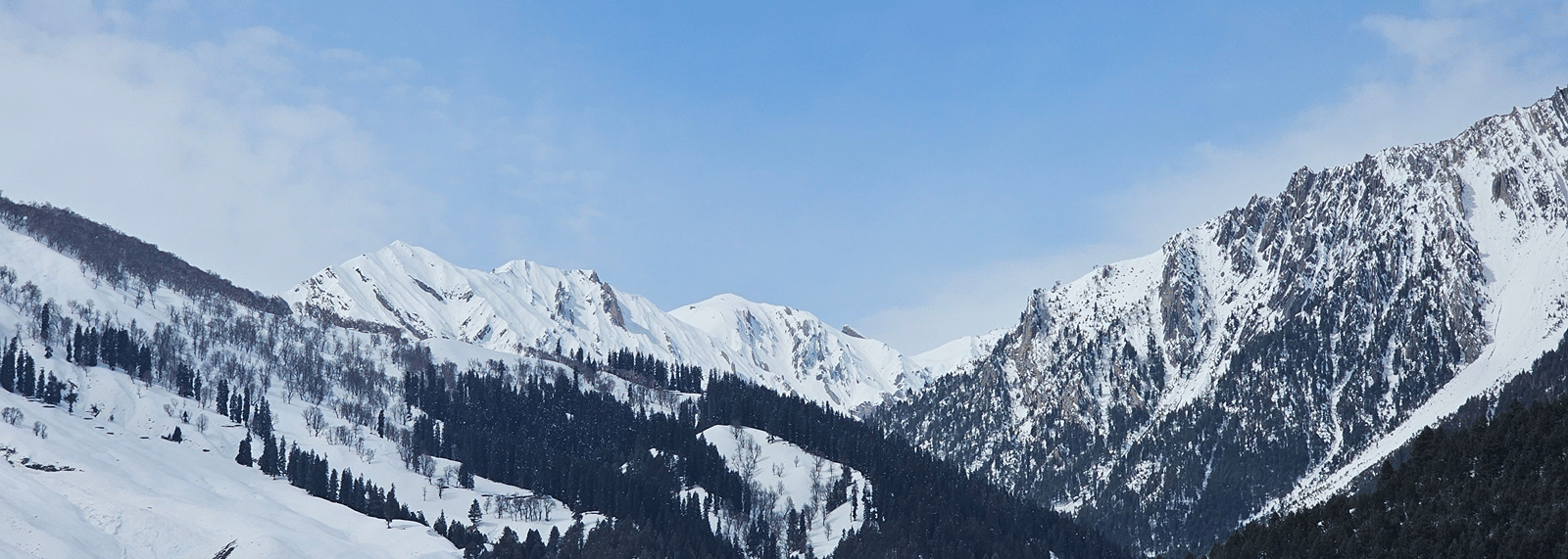 A panoramic view of high, snow-capped mountain peaks covered in pine trees during winter, capturing the landscape after fresh snow in Manali.