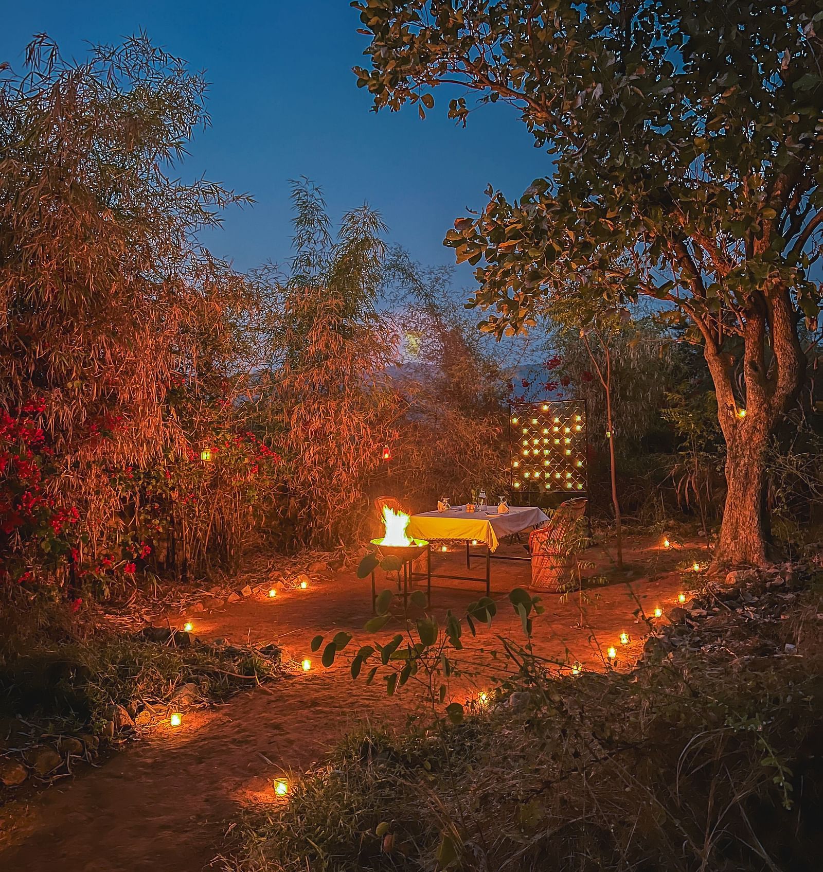 An image of an outdoor dining arrangement with bright lighting and greenery around - Utsav Camp Sariska