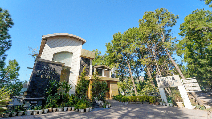 A facade image of DLS Whispering Winds surrounded by trees and greenery