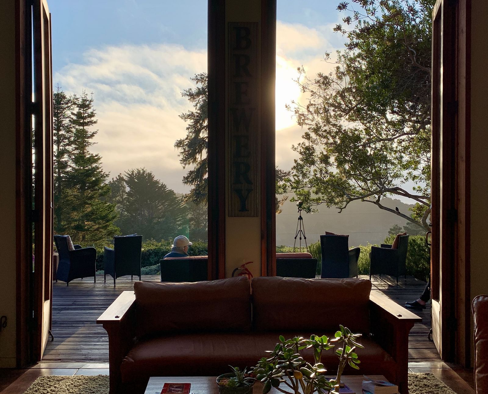 A scenic view from the great room, showcasing lush surroundings - Brewery Gulch Inn & Spa
