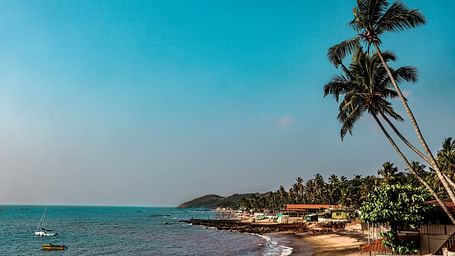 An overview of Anjuna Beach with the coconut trees and blue sky in view