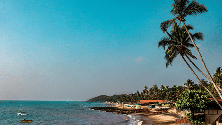 An overview of Anjuna Beach with the coconut trees and blue sky in view