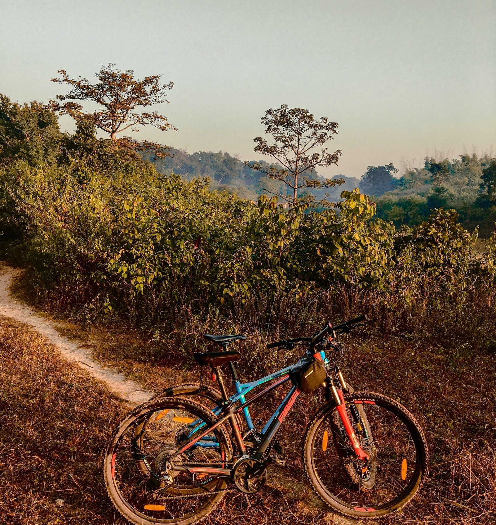 A mountain bike is parked on a dirt trail on a grassy hillside, with a clear sky in the background.
