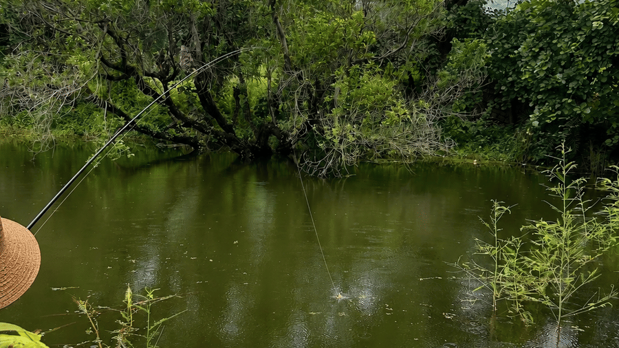 Fishing at the stream -Surya Bagh-Experiences-3