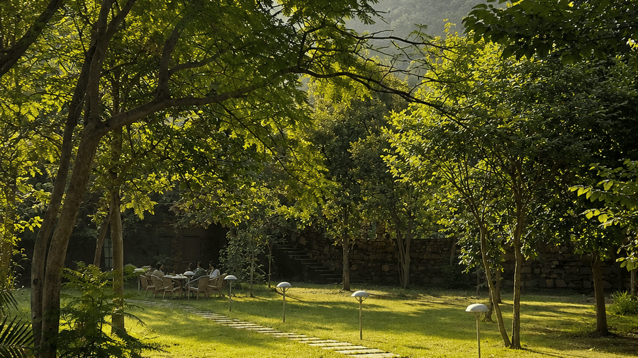 Sunlit Garden Gathering by Stone Path-Surya Bagh.png
