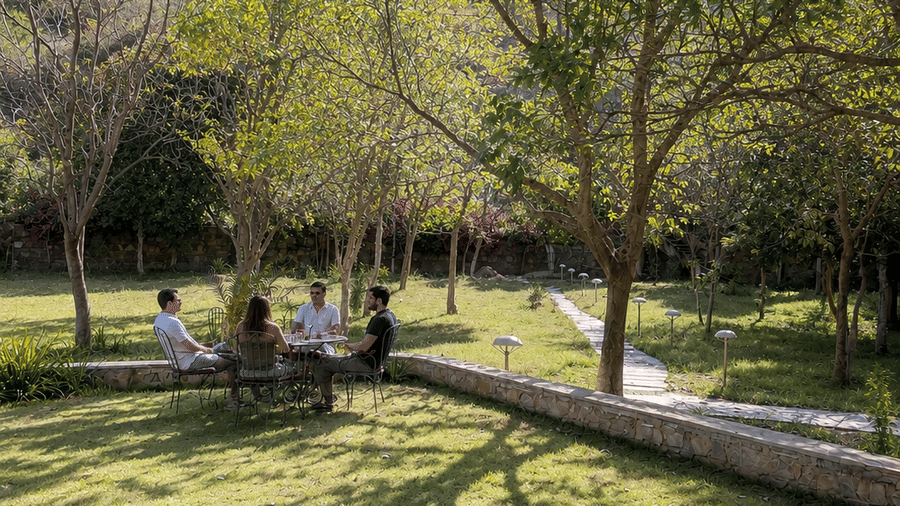 Sunny Garden Gathering by the Bunglow