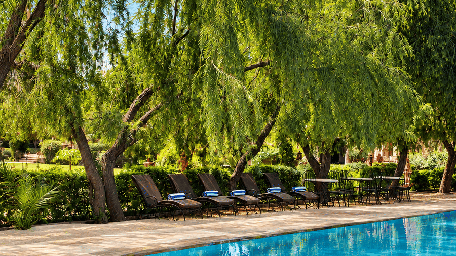 Poolside Loungers- Umaid Palace Dausa-Resorts near jaipur