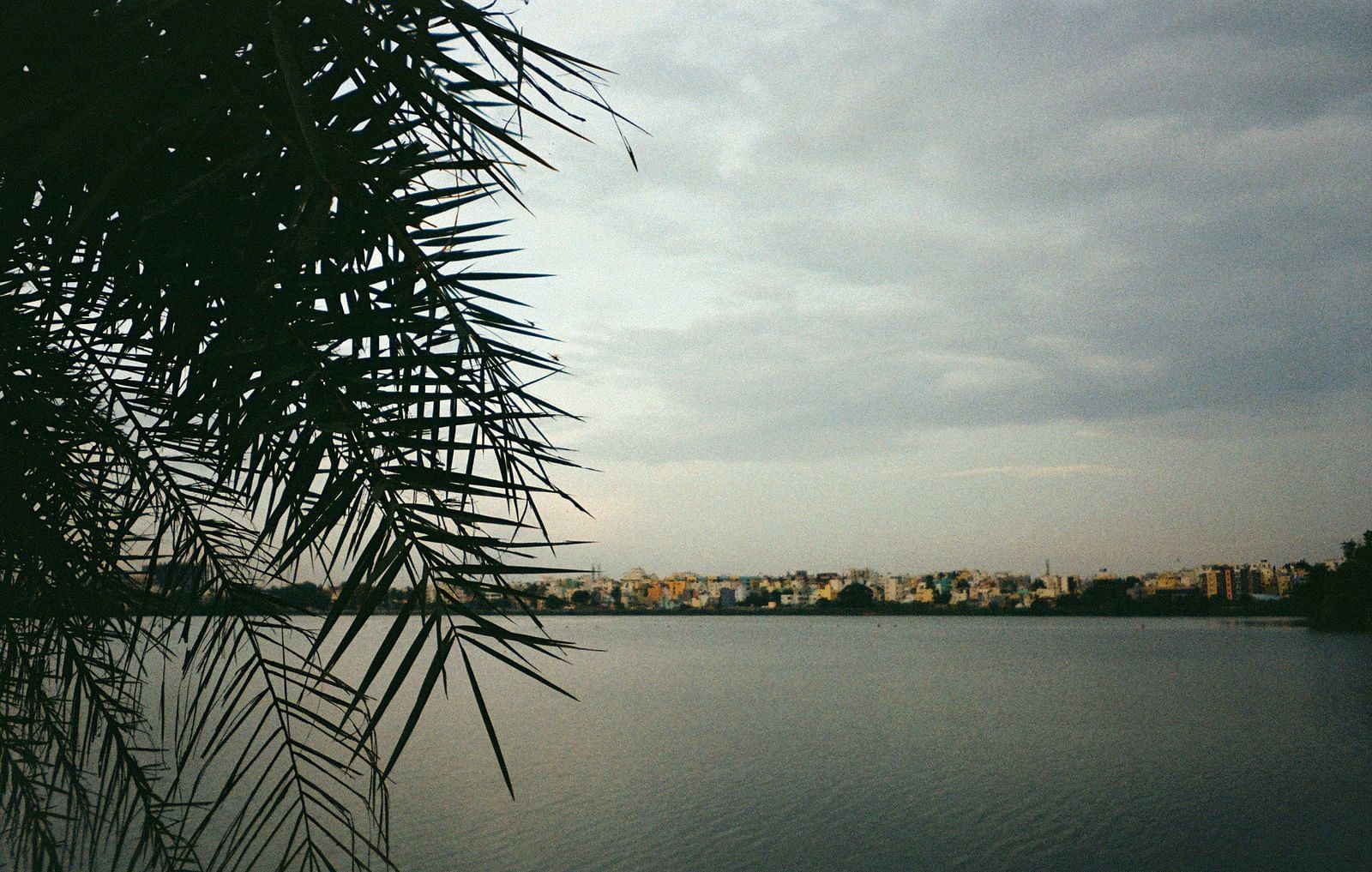 A serene lake with the view of the city in the background under grey sky.