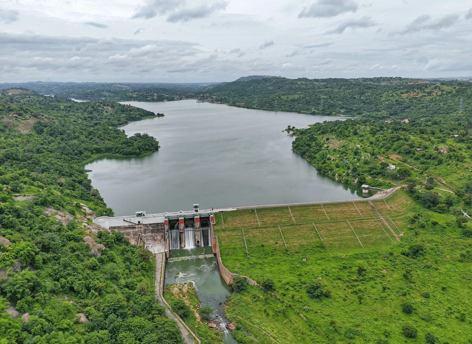 pexels-vishwanath-274848612-27644579