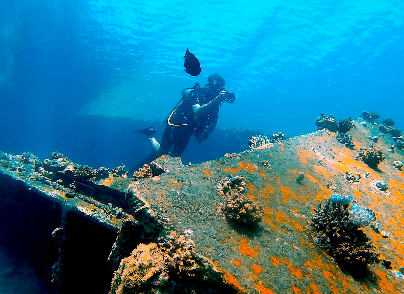 A person scuba diving in the ocean, with a small fish beside them.