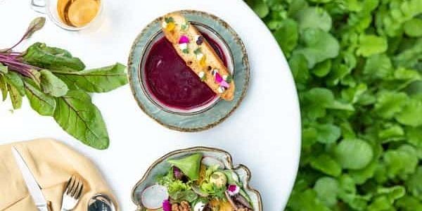 Top view of a salad plate, dip, and vegetables arranged on a white plate with greens around at Karma Chalets.