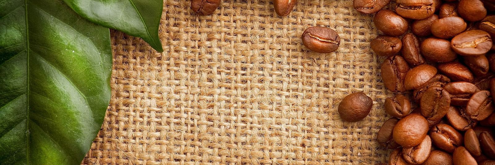 Coffee-Beans-HD-Background-