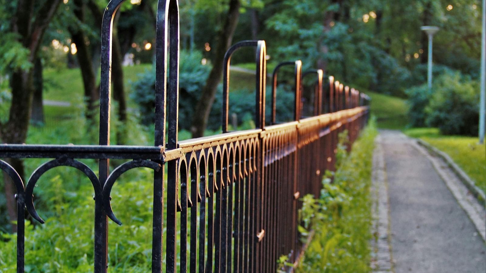 An image of a pathway bounded by an iron gate and beyond that there is a garden of trees and plants