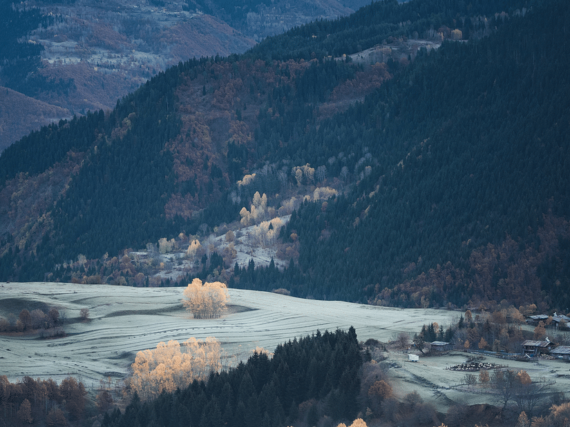 Mountains with a splendid view of trees and snow