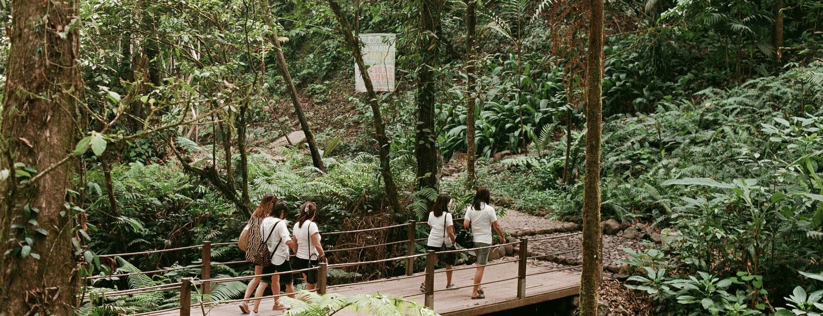 People walking on a wooden pathway surrounded by dense green forest.
