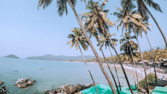 An image of a beach with palm trees and houses nearby