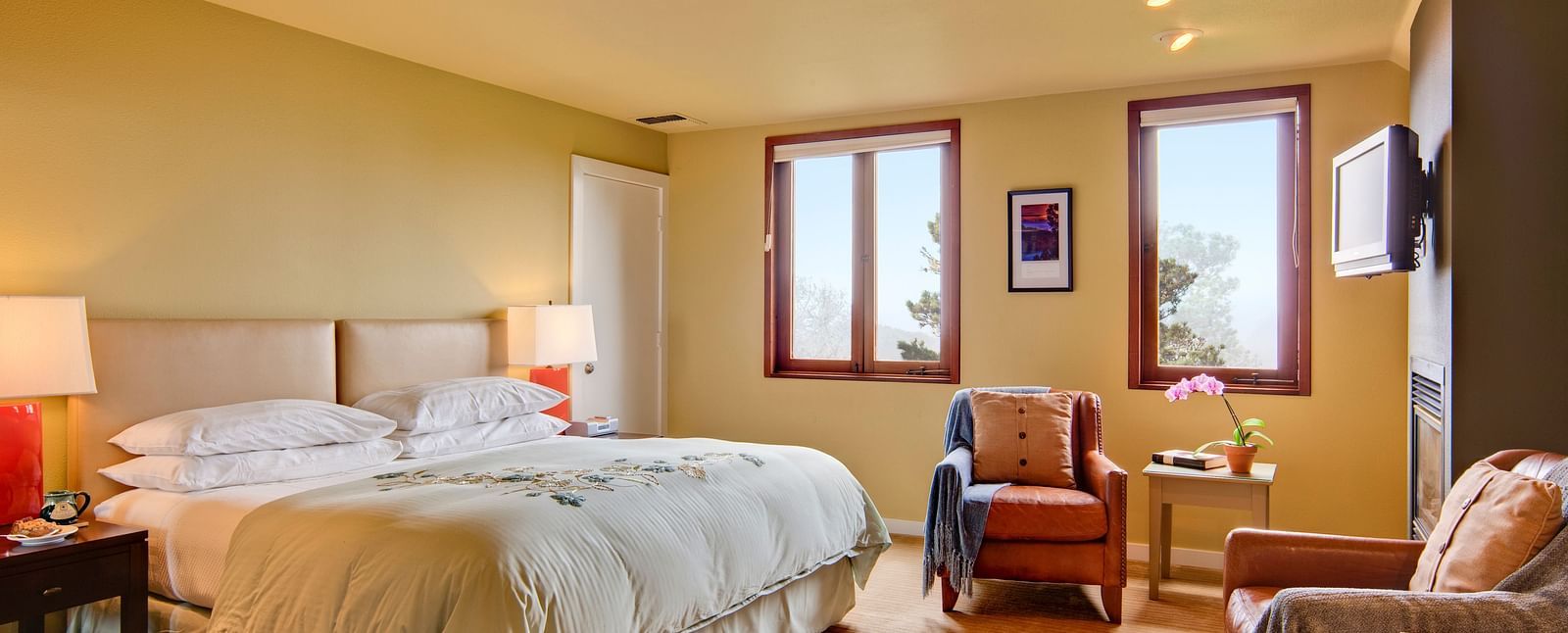 A peaceful bedroom setting with a double bed, a TV and windows with views, offering a perfect retreat for relaxation and comfort - Brewery Gulch Inn & Spa