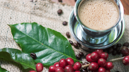 A steel cup of coffee alongside coffee beans and leaves on a piece of cloth