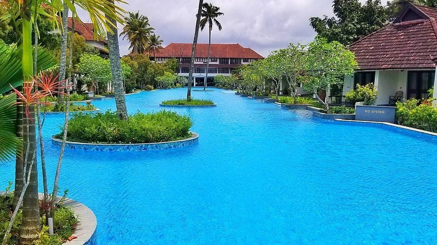 Blue waters of a pool dotted with greenery in-between - Rhythm Kumarakom