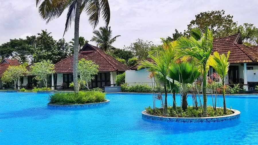 Pool with trees on a raised platform between them - Rhythm Kumarakom