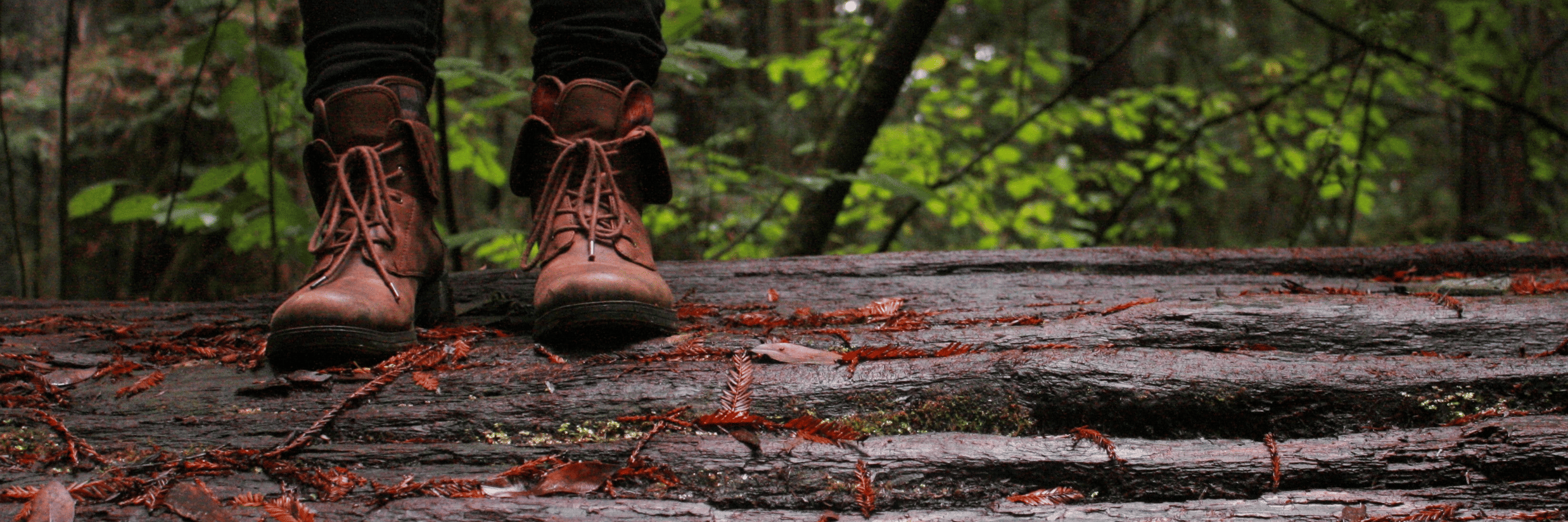 A close up of a pathway inside a forest with a person standing on top of the steps.