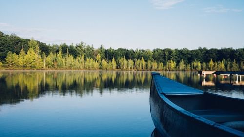 A Boat on the side of a river with forest cover on the land.