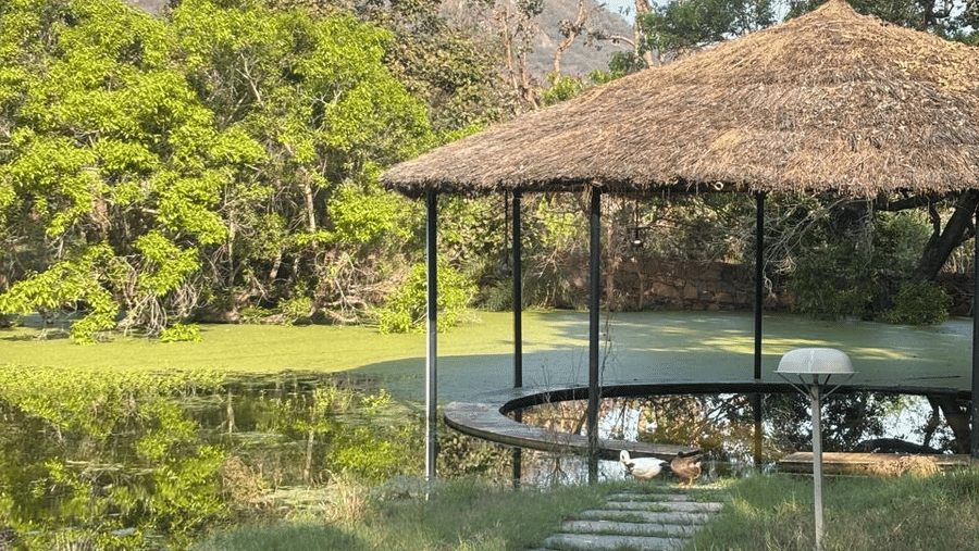 9 - Landscape 4- Surya Bagh Ajabgarh