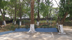 An outdoor parking area surrounded by trees and blue painted curbs inside the hotel premises.