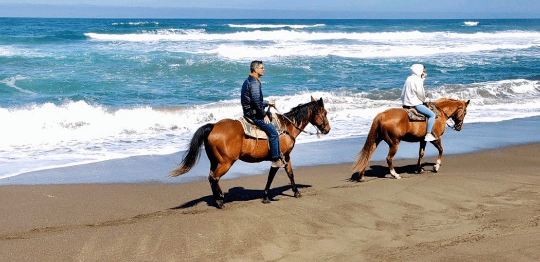 Two people riding horse is in the foreground, facing a sandy beach that extends to the ocean. 