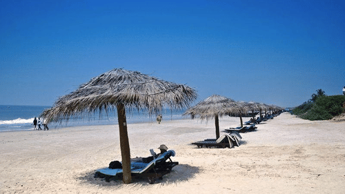 An overview of Cavelossim Beach in goa with handmade canopies and loungers below it.