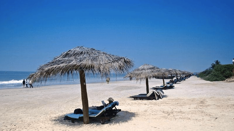 An overview of Cavelossim Beach in goa with handmade canopies and loungers below it.