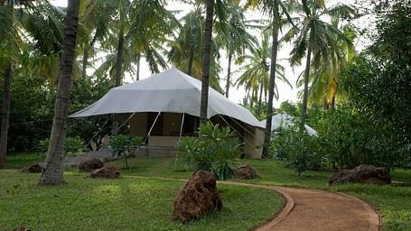 A white tent structure in a garden with palm trees - Shreyas Retreat