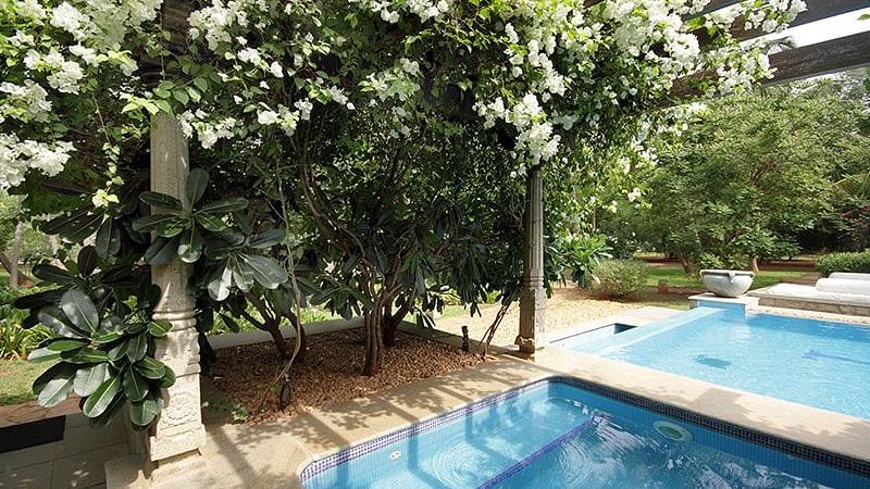 Swimming pool surrounded by trees and greenery, outdoor setting - Shreyas Retreat