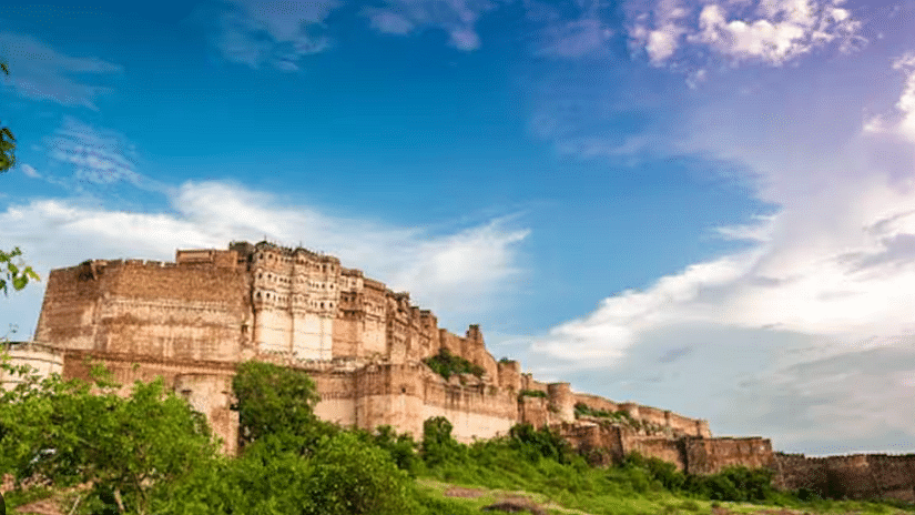 A wide-angle view of Rao Jodha Desert Park, highlighting its stunning landscape, diverse flora, and serene atmosphere, inviting exploration and appreciation of nature.