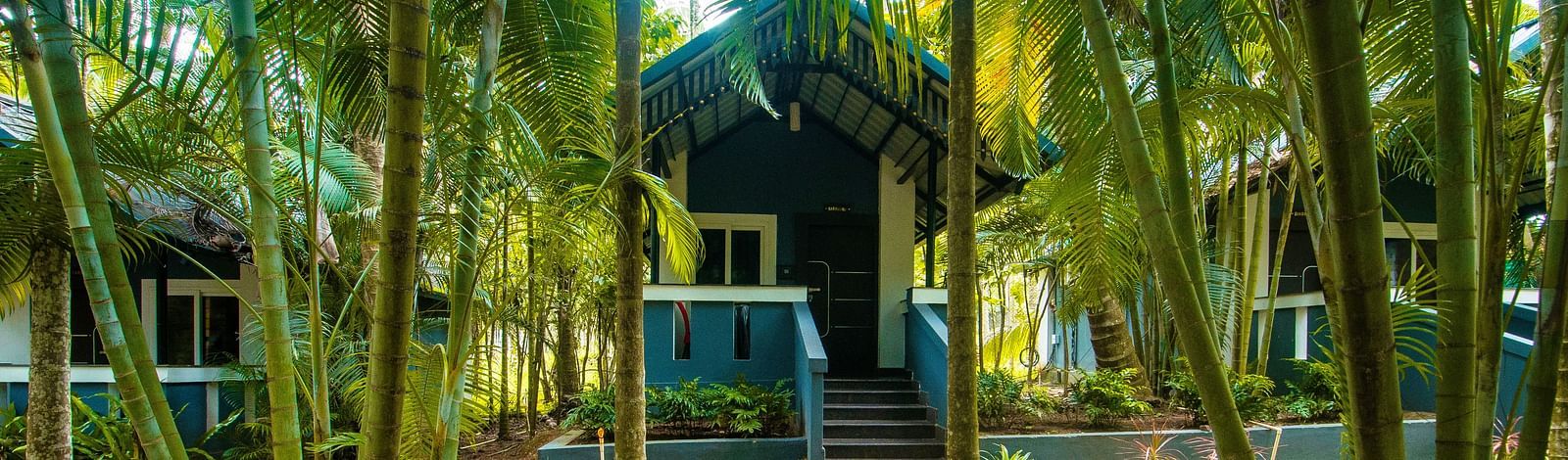 Image of a footpath surrounded by trees and plants at Parampara Resort & Spa, Kushalnagar.