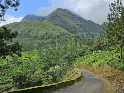 Winding road through lush green hills