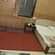 Deluxe AC Rooms Rajdoot Residency Mumbai 4
