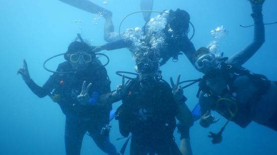 pexels-debal-das-7970793