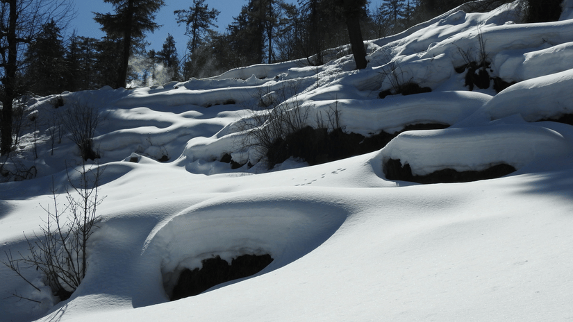 A snowy mountain landscape with large, snow-covered rocks in the foreground and pine trees in the background on a sunny day.