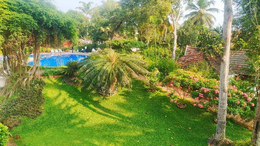 Swimming pool view from Lobby