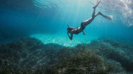 A person diving in the ocean with snorkelling equipment while looking below, a must-add on a Vietnam Trip Itinerary.