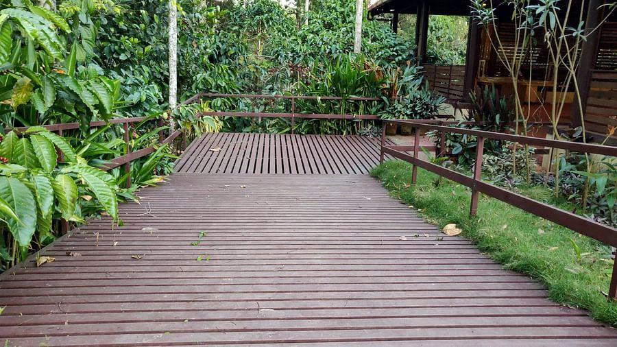 A wooden boardwalk surrounded by lush greenery leads to a small, covered wooden hut in a garden.