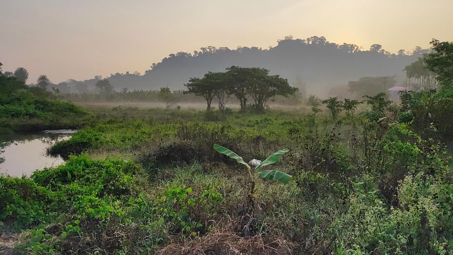 Lush green surroundings | Matsya Island Retreat
