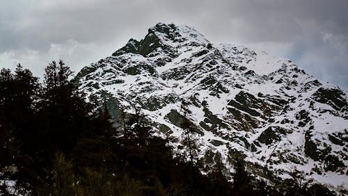 Snow-covered alpine peak under a cloudy sky, with dark pine trees lining the lower slopes of the mountain.