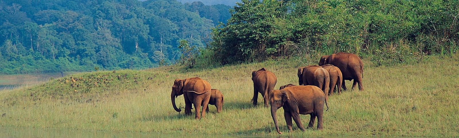 Ambapani-Wildlife-Sanctuary