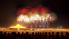 A group of people watching fireworks together from a distance - New Year Events in Kochi.
