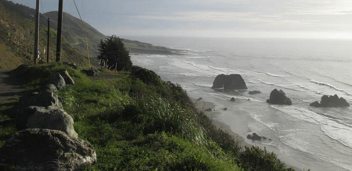 A scenic coastal view with lush green grass, utility poles, and a rocky shoreline under a partly cloudy sky.