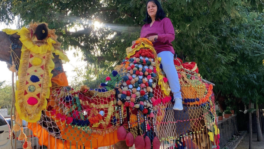 A person rides a camel decorated with colourful traditional textiles and tassels at Amantra Shilpi Resort, Udaipur.