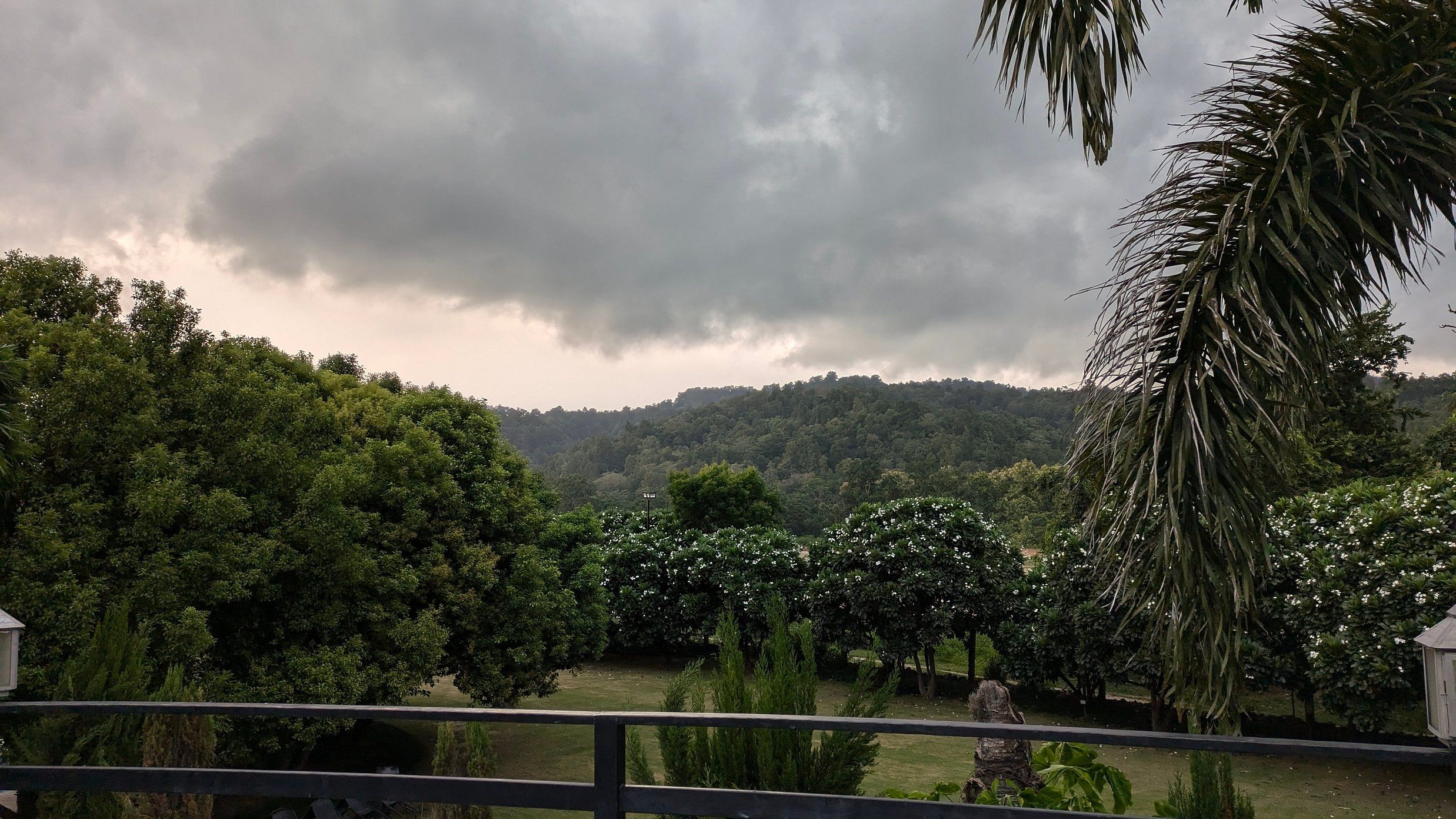 rainy season