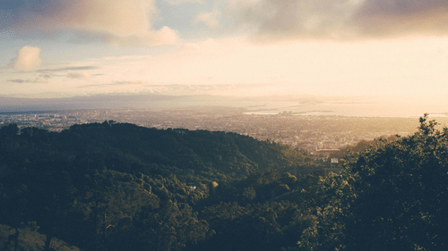 israel-sundseth-djWfjBv3jTc-unsplash